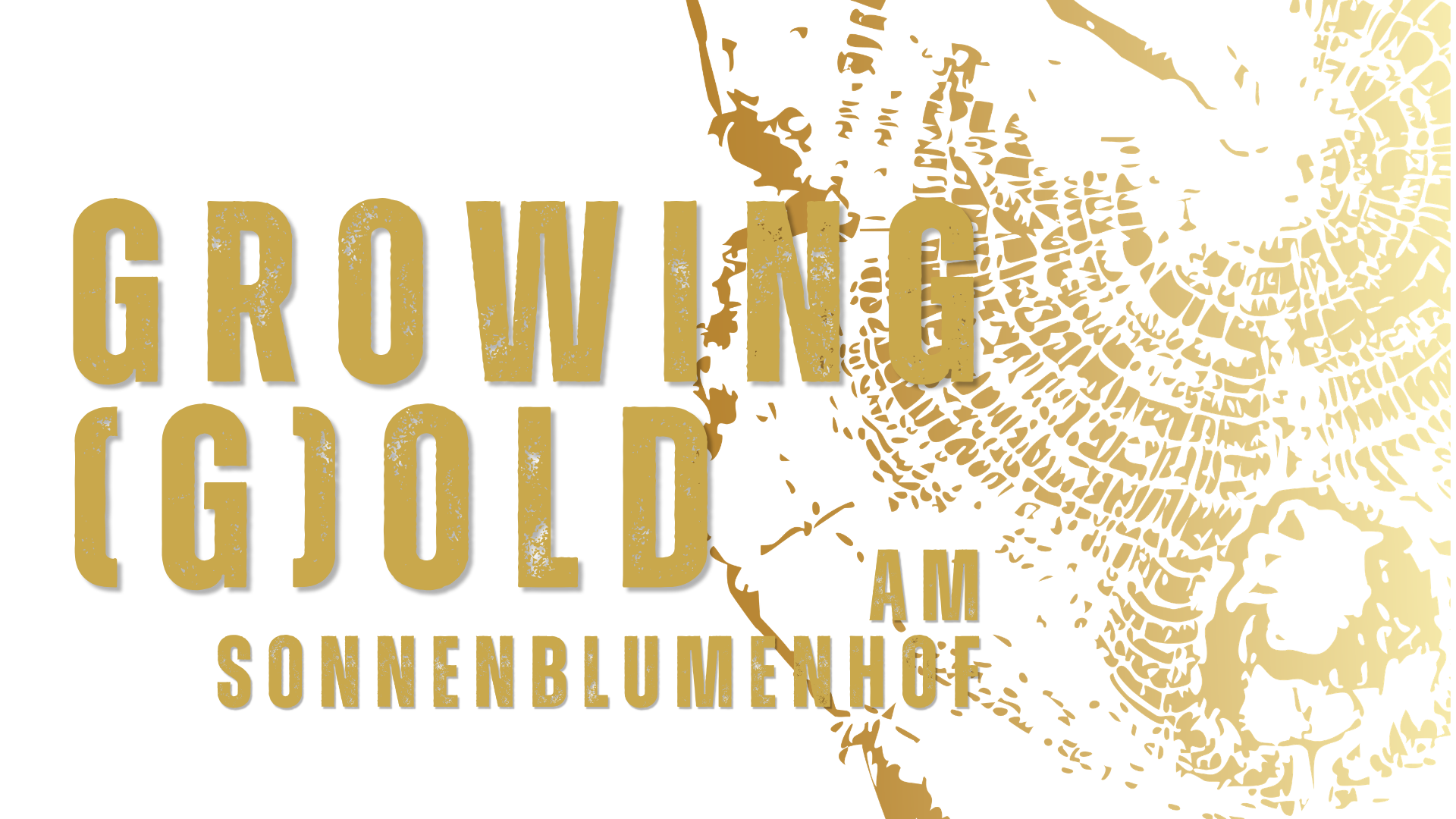 Growing GOLD Sonneblumenhof